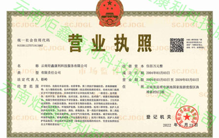 总公司营业执照