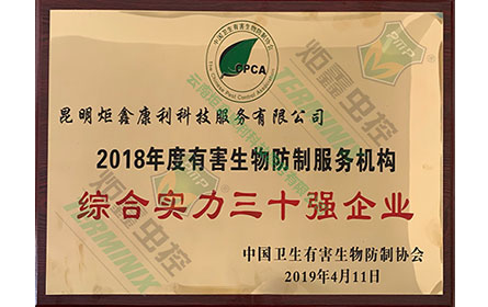 综合实力三十强企业