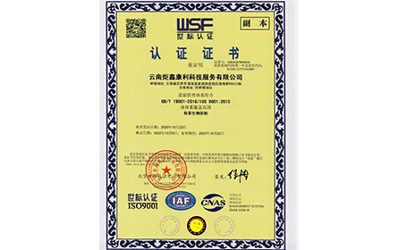 ISO 9001