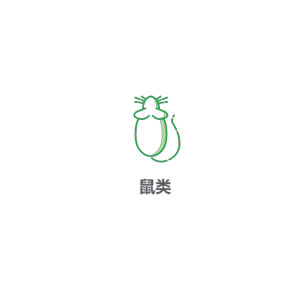 鼠类防制