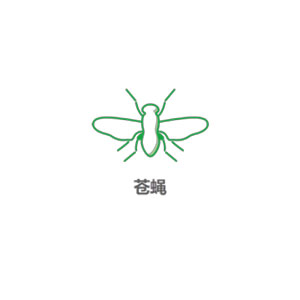 苍蝇防制