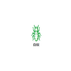 白蚁防治