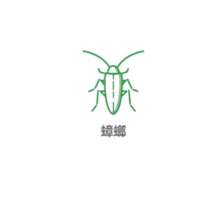 蟑螂防制