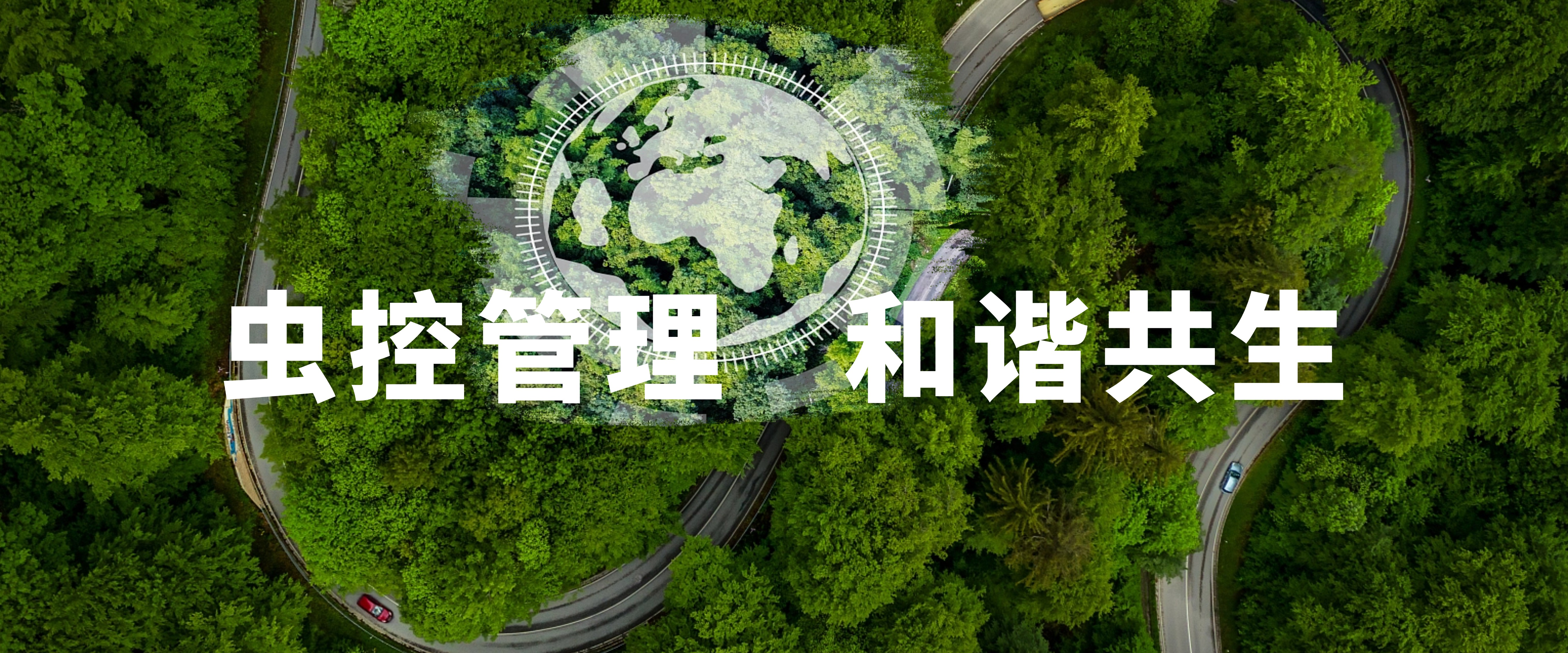 最专业的品牌服务，为您创作更高的价值